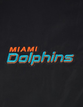 Sudadera Pro Standard con capucha Miami Dolphins para hombre