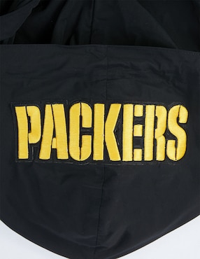 Sudadera Pro Standard con capucha Green Bay Packers para hombre
