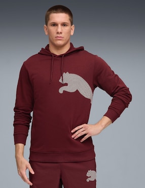 Sudadera Puma M Tad Big Logo Hoodie con capucha para hombre