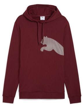Sudadera Puma M Tad Big Logo Hoodie con capucha para hombre