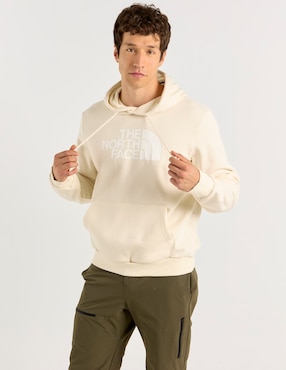 Sudadera The North Face Evolution Half Dome Regular Hoodie con capucha y bolsa para hombre