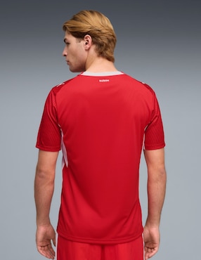 Jersey de Selección de Fútbol de Suiza local manga corta Mundial Puma para hombre
