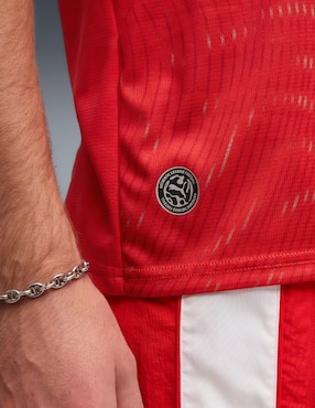 Jersey de Selección de Fútbol de Suiza local manga corta Mundial Puma para hombre