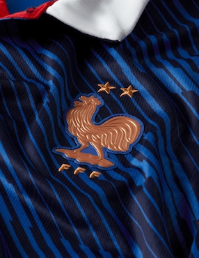 Jersey de Selección de Fútbol de Francia local manga corta Nike para hombre