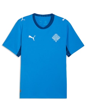 Jersey de Islandia local manga corta Mundial Puma para hombre