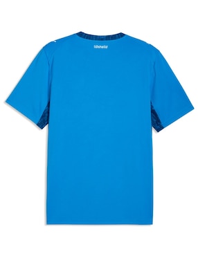 Jersey de Islandia local manga corta Mundial Puma para hombre
