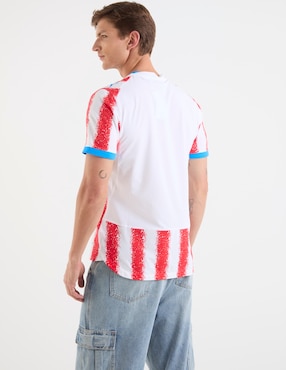 Jersey de Selección de Fútbol de Paraguay local manga corta Mundial Puma fan para hombre