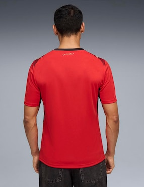 Jersey de Selección de fútbol de Egipto local manga corta Mundial Puma para hombre