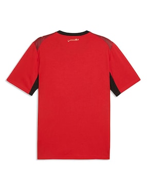 Jersey de Selección de fútbol de Egipto local manga corta Mundial Puma para hombre
