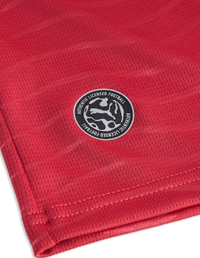 Jersey de Selección de fútbol de Portugal local de Ronaldo manga corta Mundial Puma para hombre