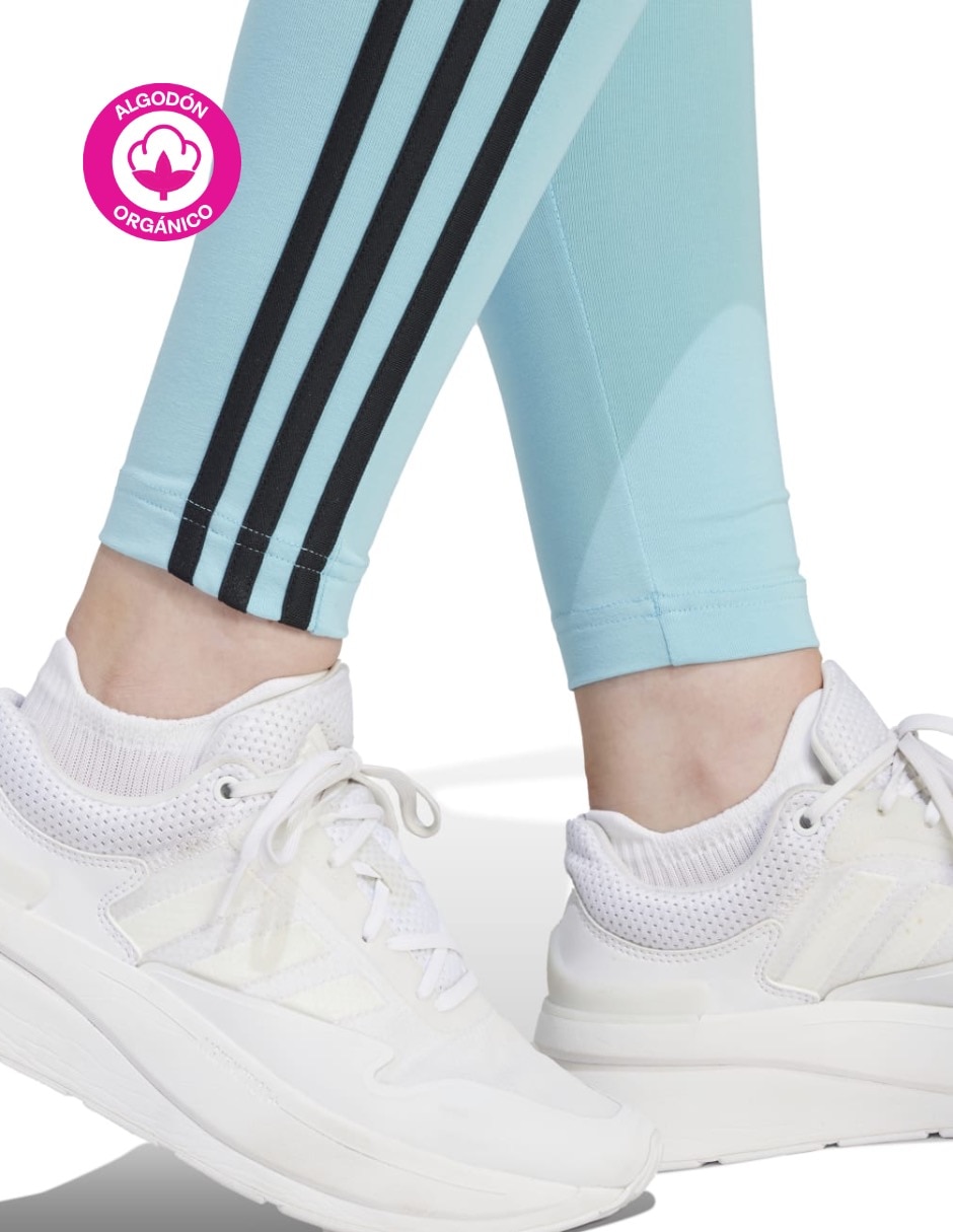 Malla control de abdomen para mujer 6